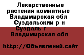 Лекарственные растения комнатные - Владимирская обл., Суздальский р-н, Суздаль г.  »    . Владимирская обл.